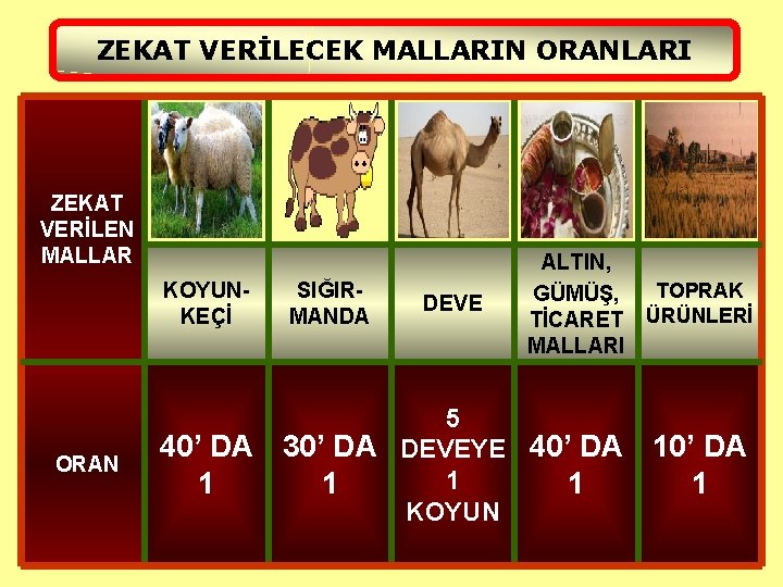 ZEKAT VERİLECEK MALLARIN ORANLARI ZEKAT VERİLEN MALLAR KOYUNKEÇİ ORAN SIĞIRMANDA DEVE ALTIN, GÜMÜŞ, TOPRAK