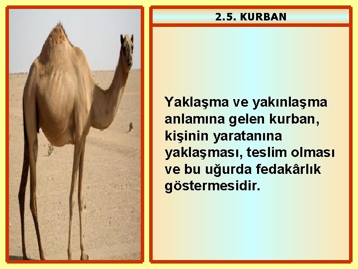 2. 5. KURBAN Yaklaşma ve yakınlaşma anlamına gelen kurban, kişinin yaratanına yaklaşması, teslim olması