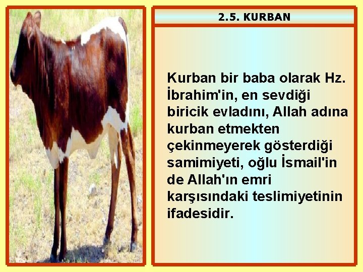 2. 5. KURBAN Kurban bir baba olarak Hz. İbrahim'in, en sevdiği biricik evladını, Allah