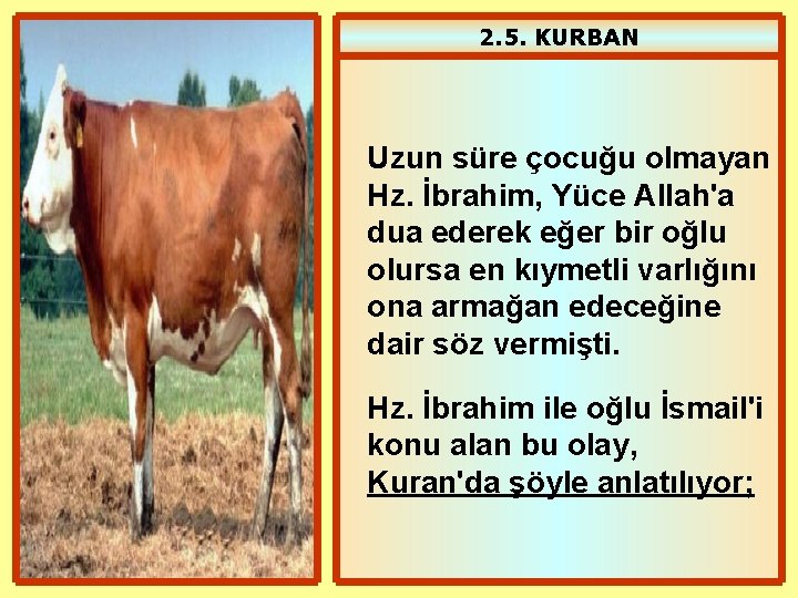 2. 5. KURBAN Uzun süre çocuğu olmayan Hz. İbrahim, Yüce Allah'a dua ederek eğer