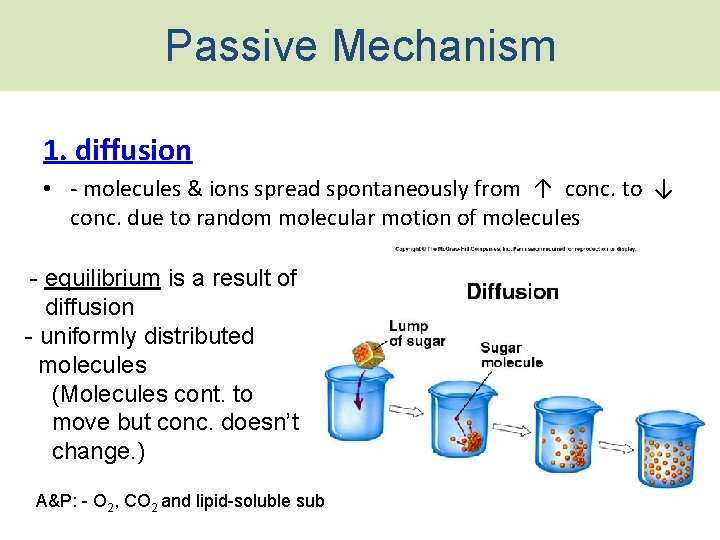 Passive Mechanism 1. diffusion • - molecules & ions spread spontaneously from ↑ conc.