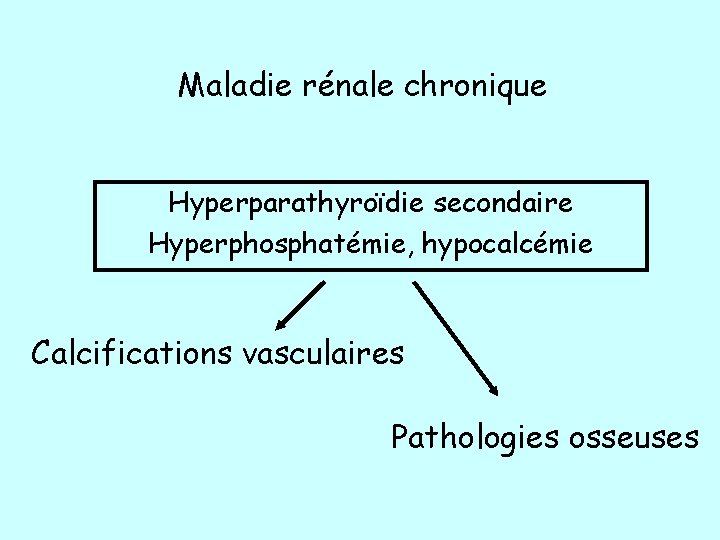 Maladie rénale chronique Hyperparathyroïdie secondaire Hyperphosphatémie, hypocalcémie Calcifications vasculaires Pathologies osseuses 