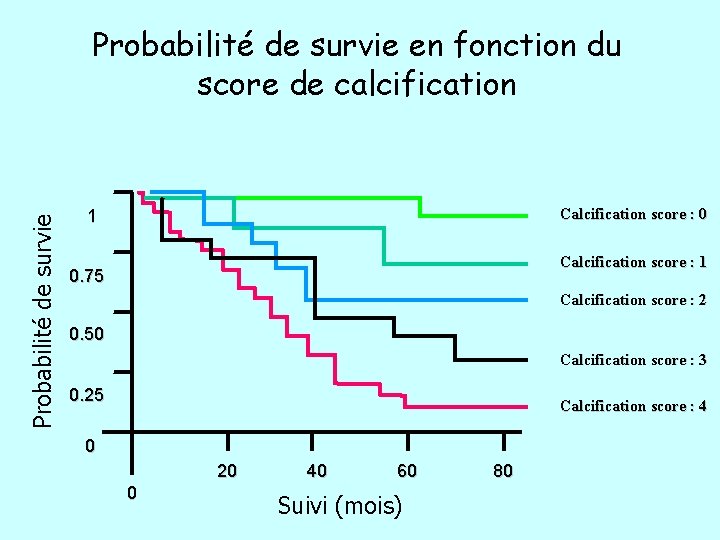 Probabilité de survie en fonction du score de calcification Calcification score : 0 1