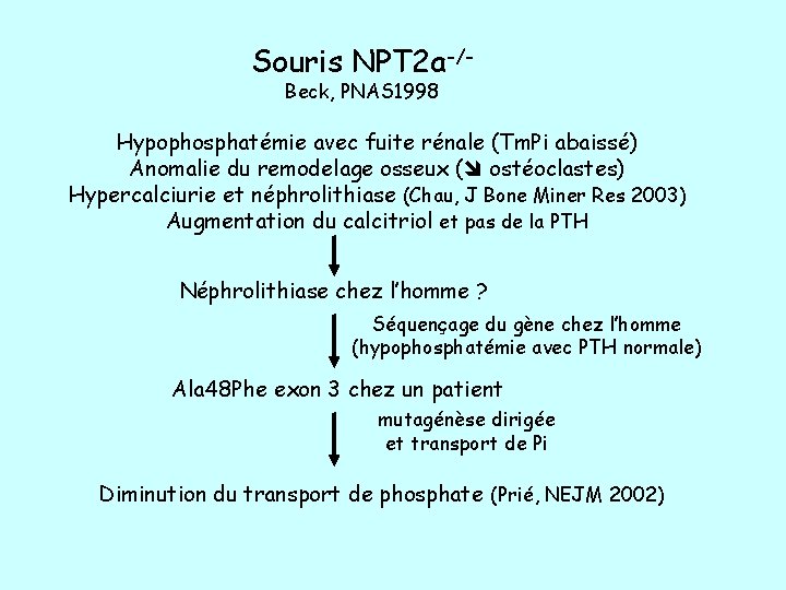Souris NPT 2 a-/Beck, PNAS 1998 Hypophosphatémie avec fuite rénale (Tm. Pi abaissé) Anomalie
