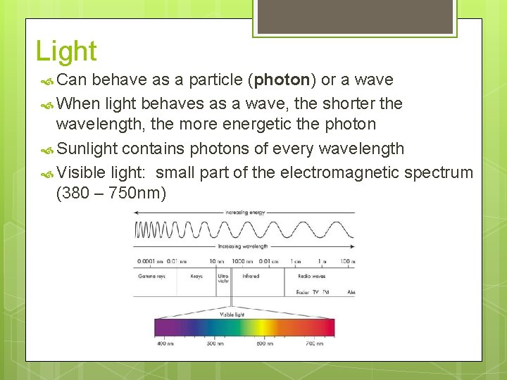 Light Can behave as a particle (photon) or a wave When light behaves as Light Can behave as a particle (photon) or a wave When light behaves as
