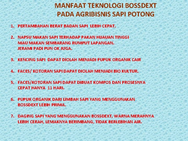 MANFAAT TEKNOLOGI BOSSDEXT PADA AGRIBISNIS SAPI POTONG 1. PERTAMBAHAN BERAT BADAN SAPI LEBIH CEPAT.