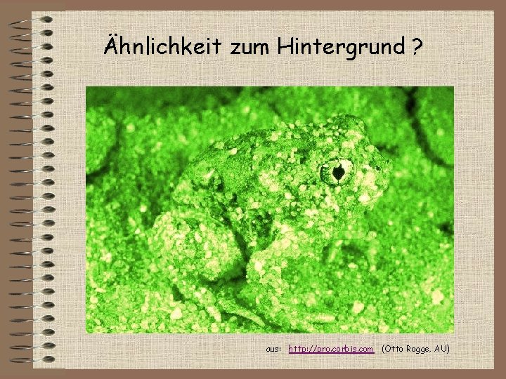 Ähnlichkeit zum Hintergrund ? aus: http: //pro. corbis. com (Otto Rogge, AU) 