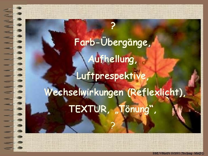 ? Farb-Übergänge, Aufhellung, Luftprespektive, Wechselwirkungen (Reflexlicht), TEXTUR, „Tönung“, ? BMLV/Rüst. Pl-10/2001 (Trn. Symp. -MA[D])