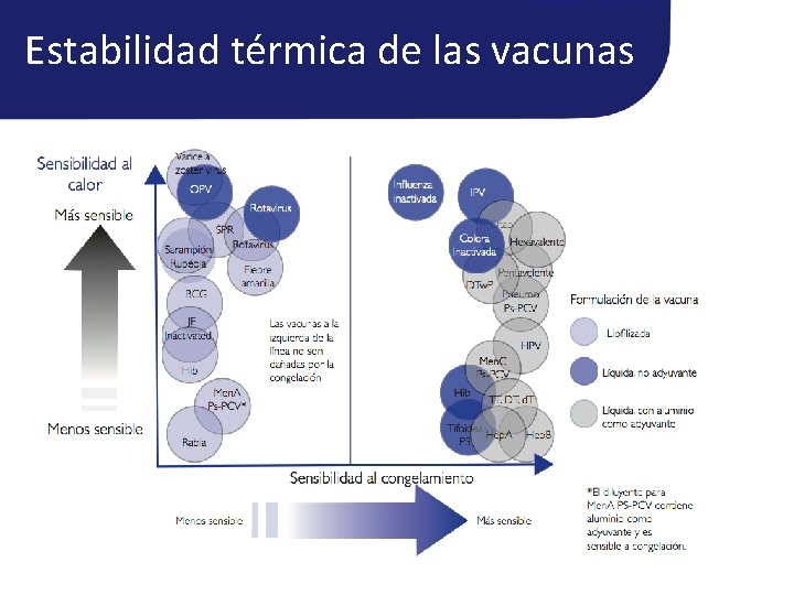 Estabilidad térmica de las vacunas Estabilidad térmica de las vacunas