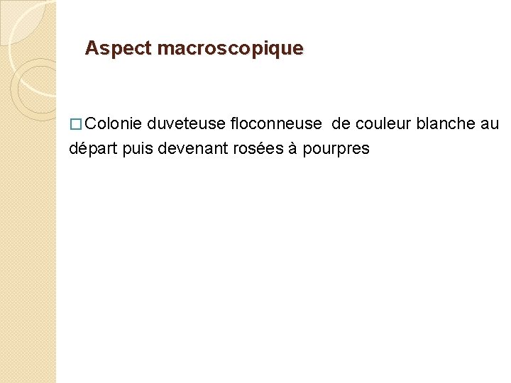 Aspect macroscopique � Colonie duveteuse floconneuse de couleur blanche au départ puis devenant rosées