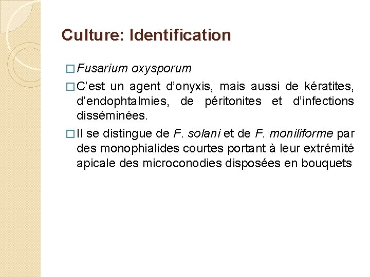 Culture: Identification � Fusarium oxysporum � C’est un agent d’onyxis, mais aussi de kératites,