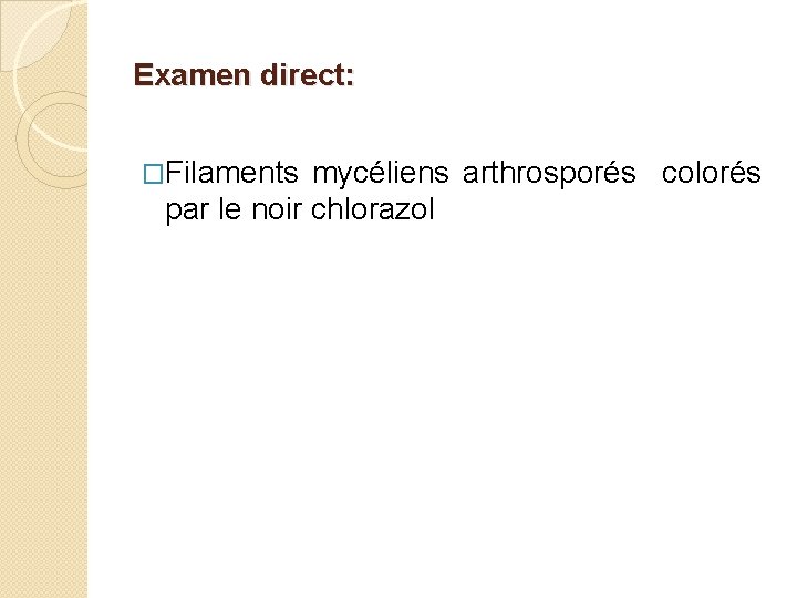 Examen direct: �Filaments mycéliens arthrosporés colorés par le noir chlorazol 