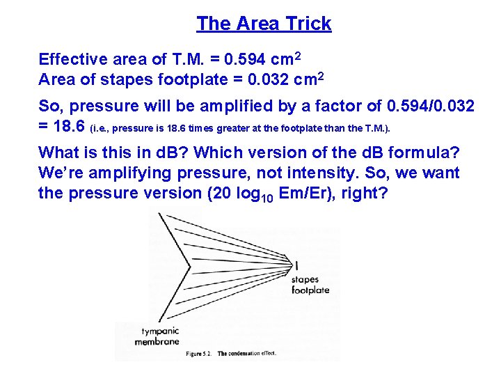 The Area Trick Effective area of T. M. = 0. 594 cm 2 Area The Area Trick Effective area of T. M. = 0. 594 cm 2 Area