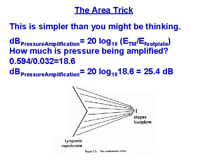 The Area Trick This is simpler than you might be thinking. d. BPressure. Amplification= The Area Trick This is simpler than you might be thinking. d. BPressure. Amplification=