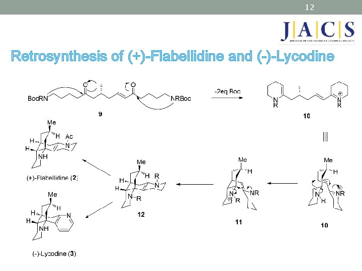 12 Retrosynthesis of (+)-Flabellidine and (-)-Lycodine 