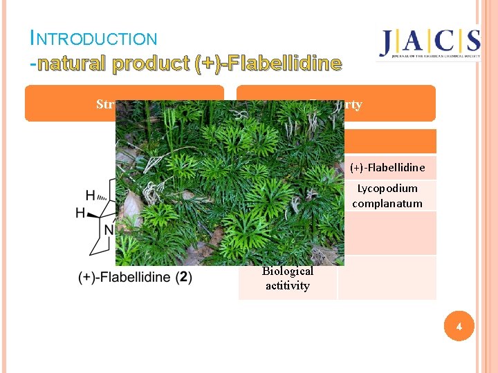 INTRODUCTION -natural product (+)-Flabellidine Structure Property term Name (+)-Flabellidine Isolated from Lycopodium complanatum Isolated