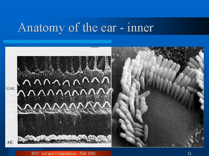 Anatomy of the ear - inner BPC: Art and Computation – Fall 2006 32