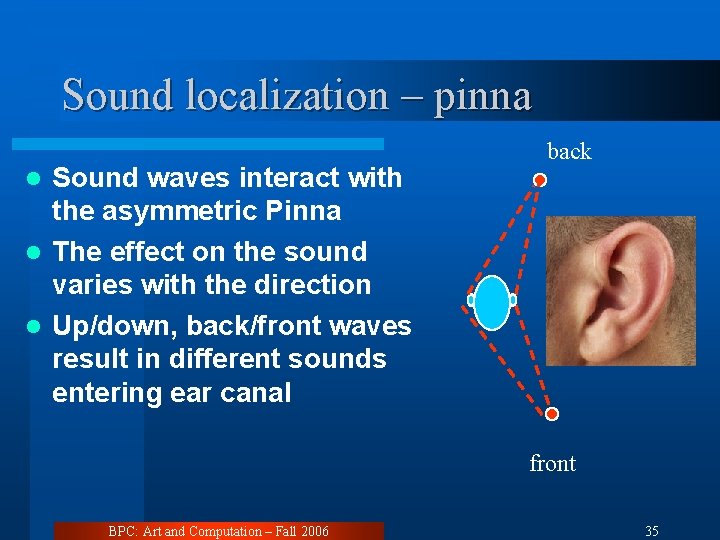 Sound localization – pinna Sound waves interact with the asymmetric Pinna l The effect