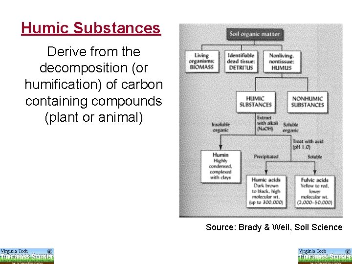 Humic Substances Derive from the decomposition (or humification) of carbon containing compounds (plant or