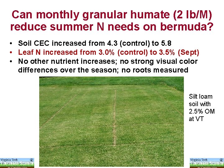 Can monthly granular humate (2 lb/M) reduce summer N needs on bermuda? • Soil