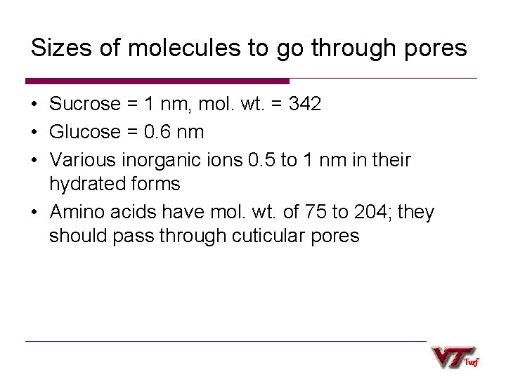 Sizes of molecules to go through pores • Sucrose = 1 nm, mol. wt.