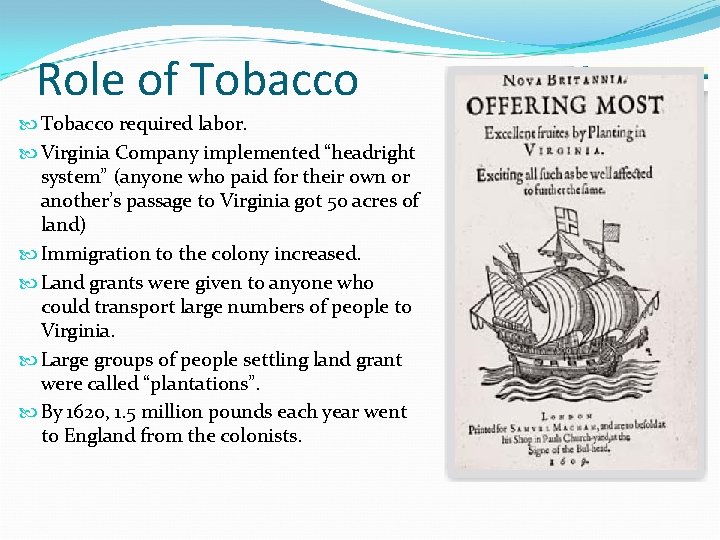 Role of Tobacco required labor. Virginia Company implemented “headright system” (anyone who paid for