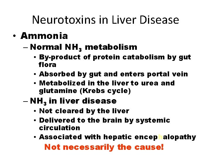 Neurotoxins in Liver Disease • Ammonia – Normal NH 3 metabolism • By-product of