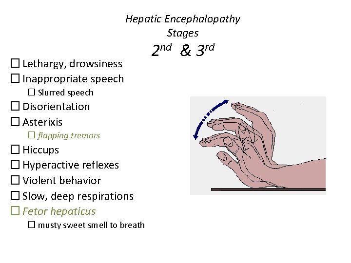 � Lethargy, drowsiness � Inappropriate speech Hepatic Encephalopathy Stages 2 nd & 3 rd