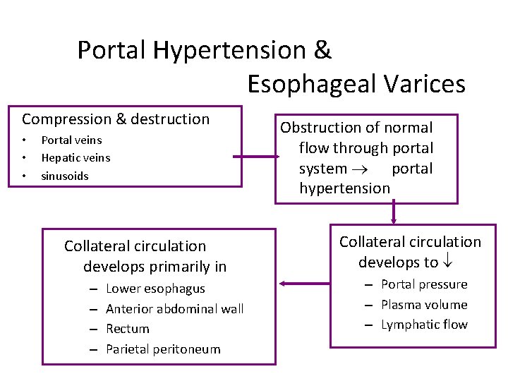 Portal Hypertension & Esophageal Varices Compression & destruction • • • Portal veins Hepatic