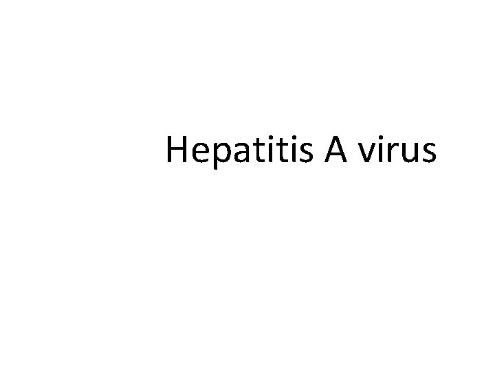  Hepatitis A virus 