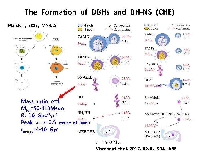 The Formation of DBHs and BH-NS (CHE) Mandel+, 2016, MNRAS Mass ratio q~1 Mtot~50