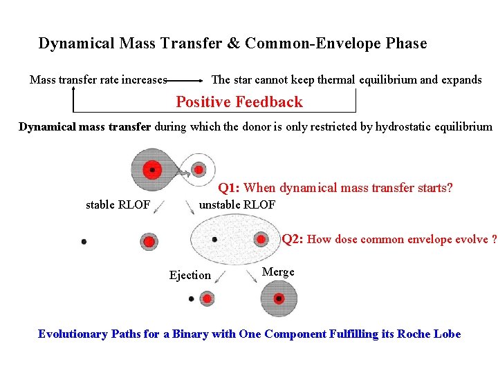 Dynamical Mass Transfer & Common-Envelope Phase Mass transfer rate increases The star cannot keep
