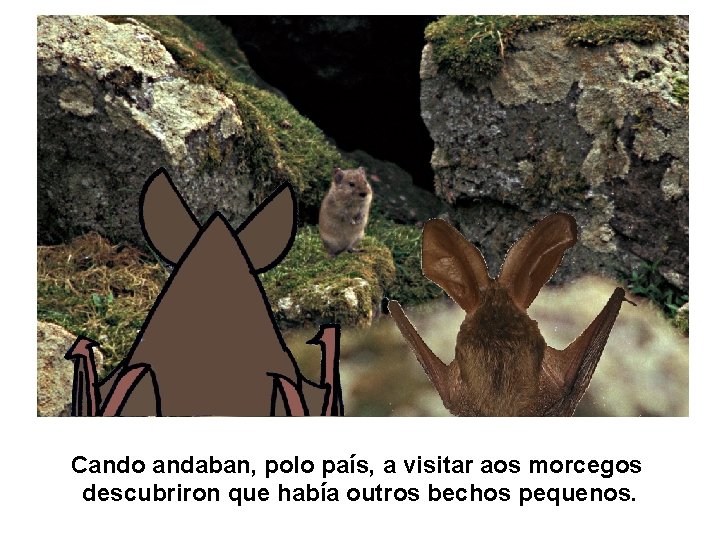 Cando andaban, polo país, a visitar aos morcegos descubriron que había outros bechos pequenos. Cando andaban, polo país, a visitar aos morcegos descubriron que había outros bechos pequenos.