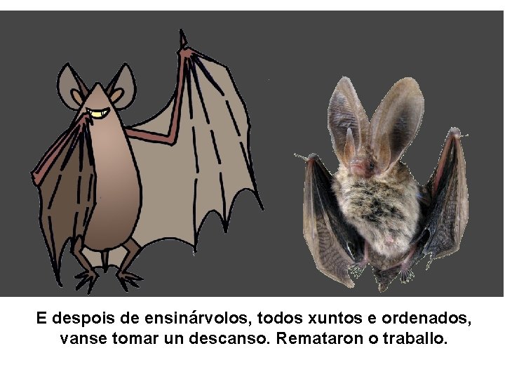 E despois de ensinárvolos, todos xuntos e ordenados, vanse tomar un descanso. Remataron o E despois de ensinárvolos, todos xuntos e ordenados, vanse tomar un descanso. Remataron o
