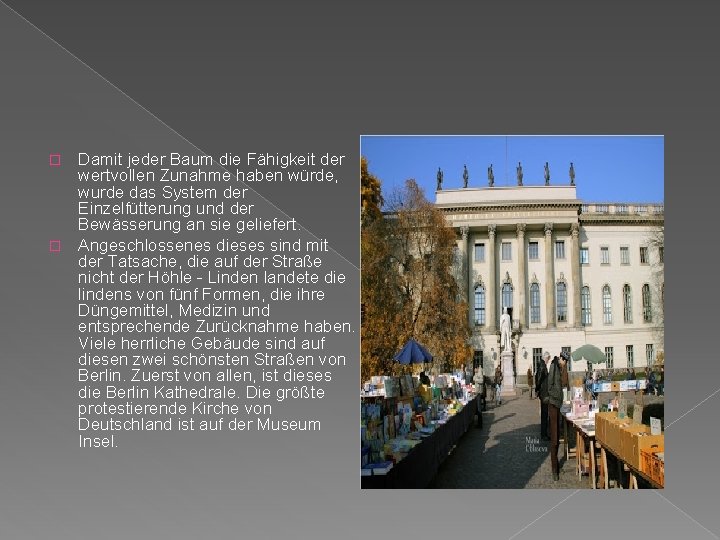 Damit jeder Baum die Fähigkeit der wertvollen Zunahme haben würde, wurde das System der Damit jeder Baum die Fähigkeit der wertvollen Zunahme haben würde, wurde das System der
