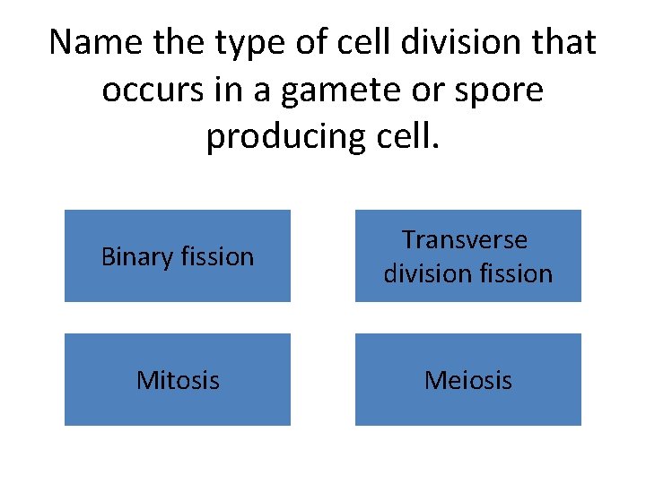 Name the type of cell division that occurs in a gamete or spore producing