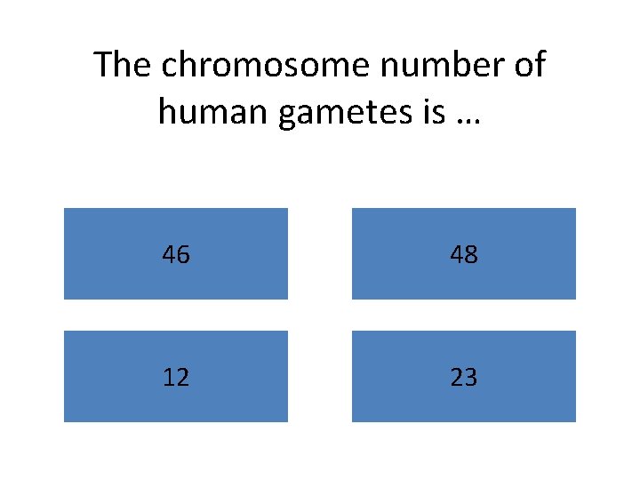 The chromosome number of human gametes is … 46 48 12 23 