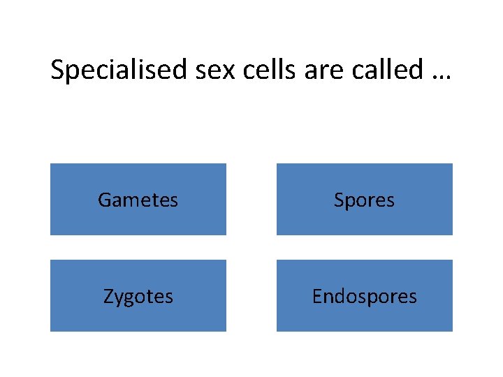 Specialised sex cells are called … Gametes Spores Zygotes Endospores 