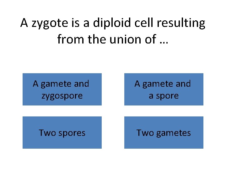 A zygote is a diploid cell resulting from the union of … A gamete