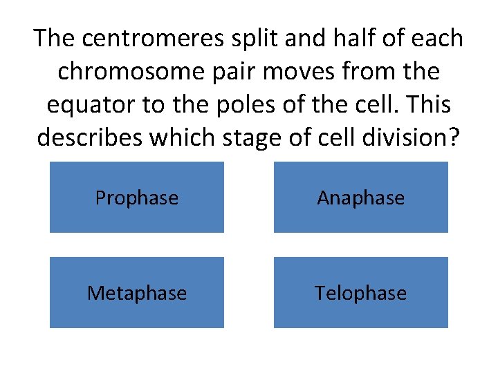 The centromeres split and half of each chromosome pair moves from the equator to