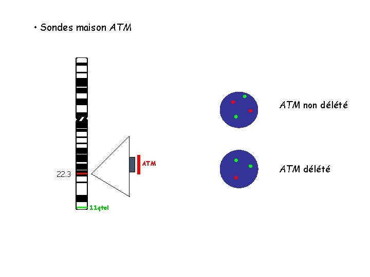 • Sondes maison ATM non délété ATM 22. 3 11 qtel ATM délété • Sondes maison ATM non délété ATM 22. 3 11 qtel ATM délété