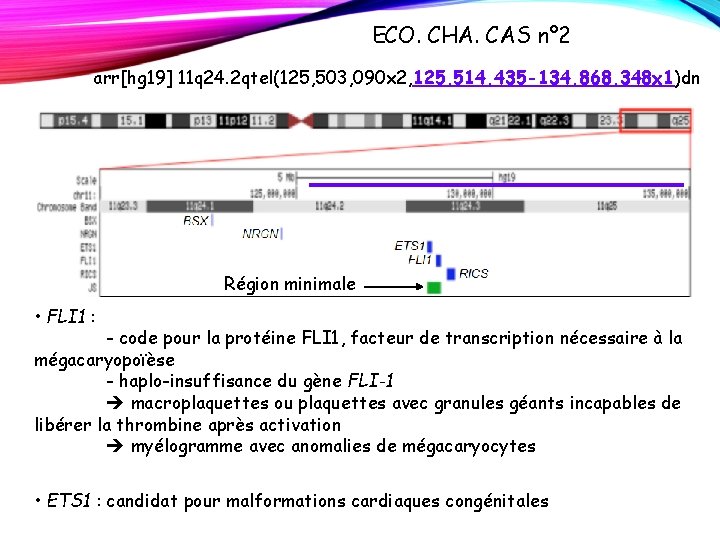 ECO. CHA. CAS n° 2 arr[hg 19] 11 q 24. 2 qtel(125, 503, 090