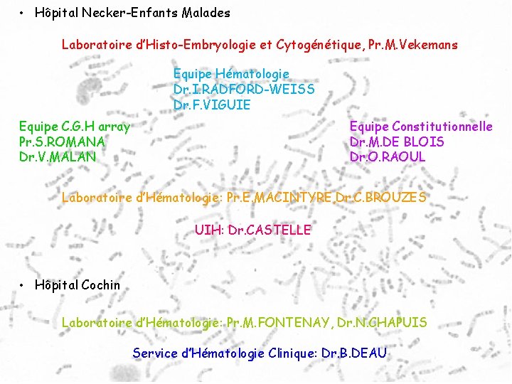 • Hôpital Necker-Enfants Malades Laboratoire d’Histo-Embryologie et Cytogénétique, Pr. M. Vekemans Equipe Hématologie • Hôpital Necker-Enfants Malades Laboratoire d’Histo-Embryologie et Cytogénétique, Pr. M. Vekemans Equipe Hématologie