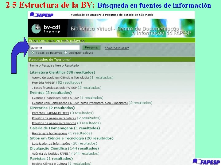 2. 5 Estructura de la BV: Búsqueda en fuentes de información 