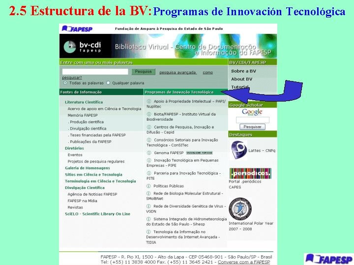 2. 5 Estructura de la BV: Programas de Innovación Tecnológica 