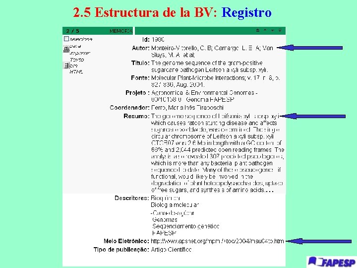2. 5 Estructura de la BV: Registro . . . 