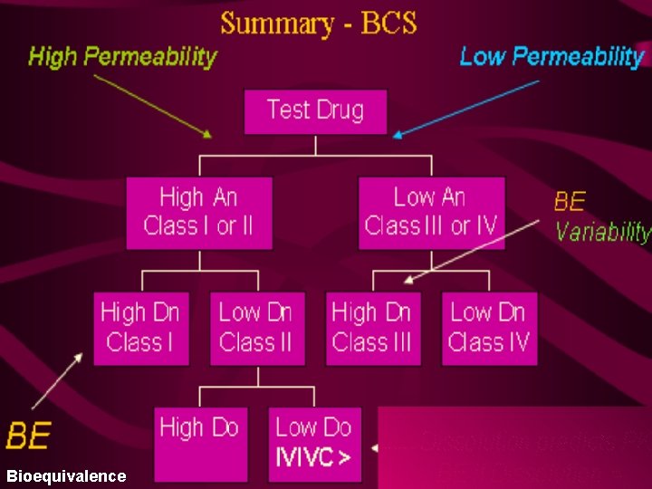 Bioequivalence Bioequivalence