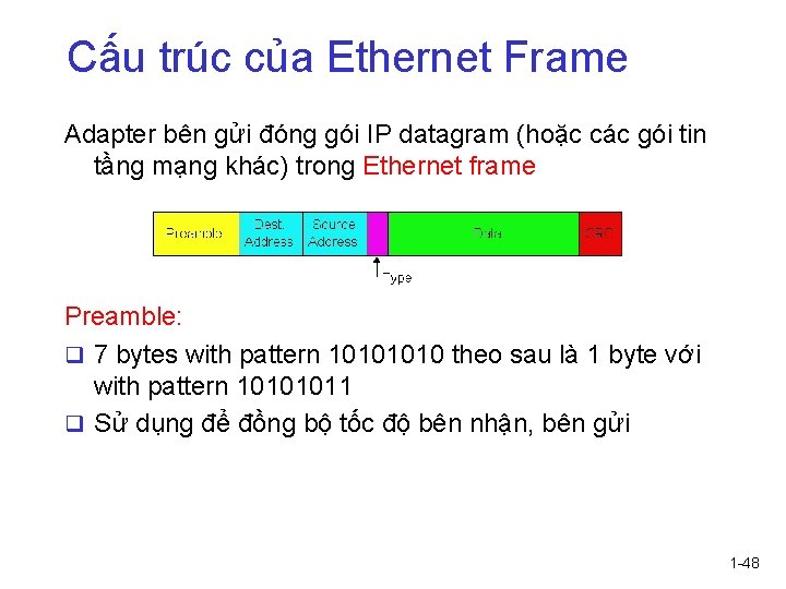 Cấu trúc của Ethernet Frame Adapter bên gửi đóng gói IP datagram (hoặc các