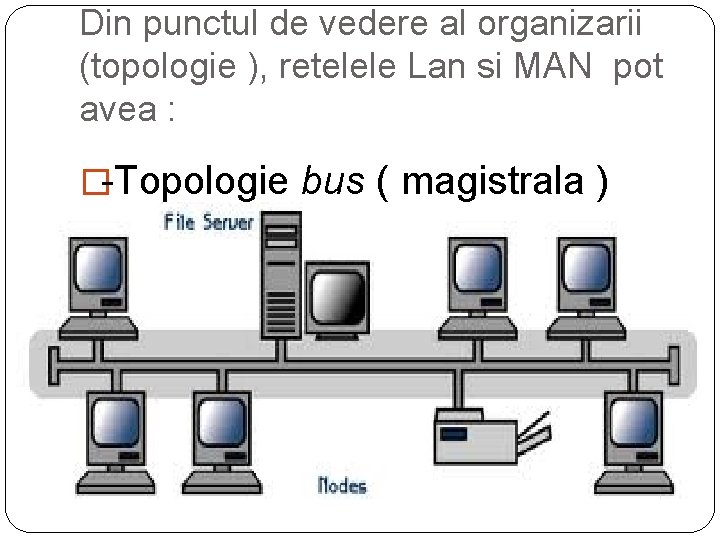 Din punctul de vedere al organizarii (topologie ), retelele Lan si MAN pot avea