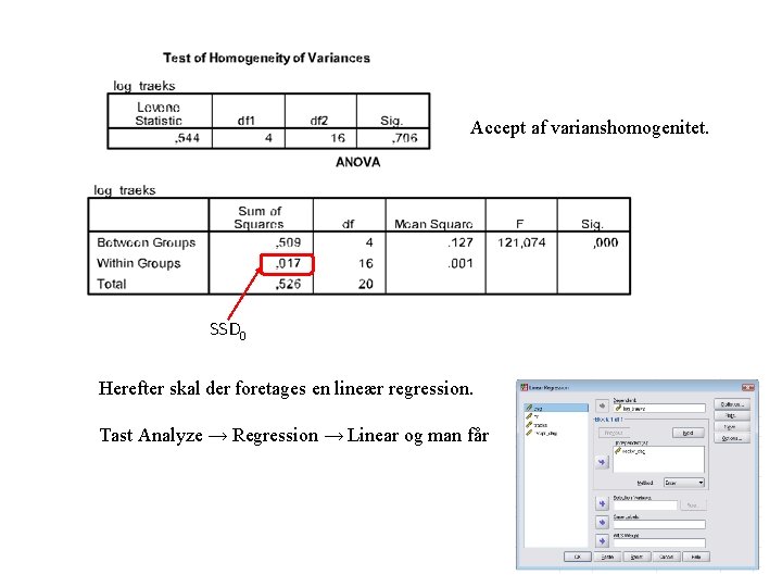 Accept af varianshomogenitet. SSD 0 Herefter skal der foretages en lineær regression. Tast Analyze